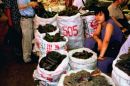 Quinping Market, Guangzhou